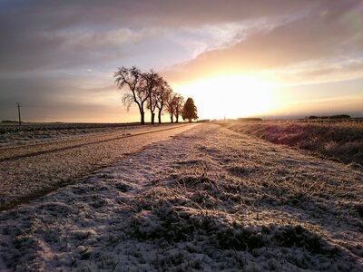 Boîte à Polas - 2016, 2016_017