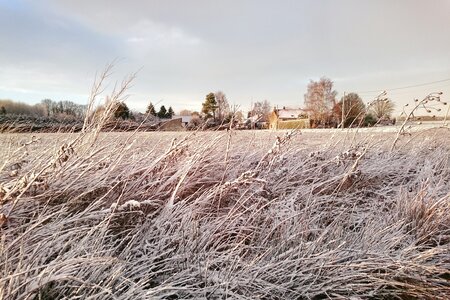 Boîte à Polas - 2016, 2016_018