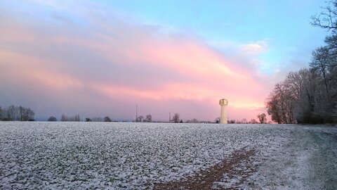 Boîte à Polas - 2016, 2016_019