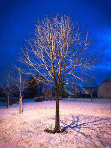 Boîte à Polas - 2016, 2016_020