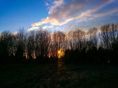 Boîte à Polas - 2016, 2016_025