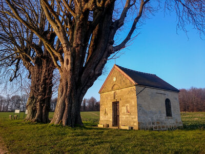 Boîte à Polas - 2016, 2016_027
