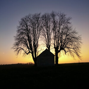 Boîte à Polas - 2016, 2016_028