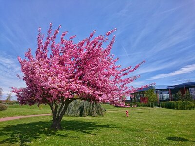 Boîte à Polas - 2016, 2016_030