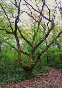 Boîte à Polas - 2016, 2016_032