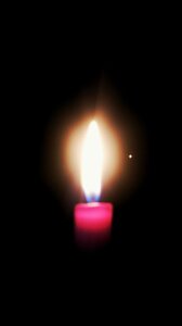 Boîte à Polas - 2016, 2016_034