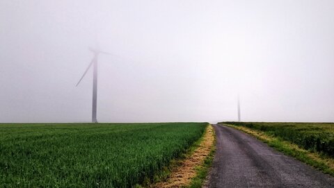 Boîte à Polas - 2016, 2016_036