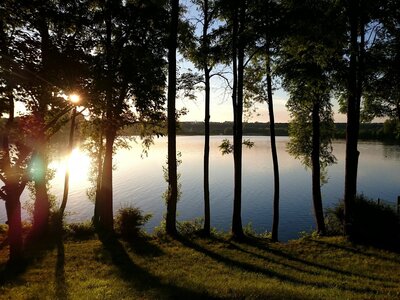Boîte à Polas - 2016, 2016_037