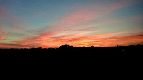 Boîte à Polas - 2016, 2016_045