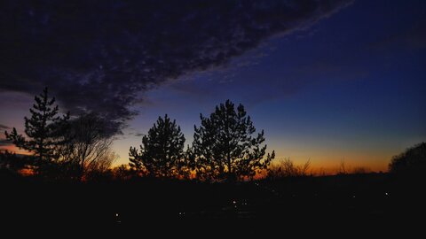 Boîte à Polas - 2016, 2016_052