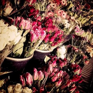 Boîte à Polas - 2015, 2015_008