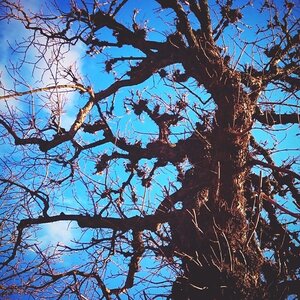 Boîte à Polas - 2015, 2015_010