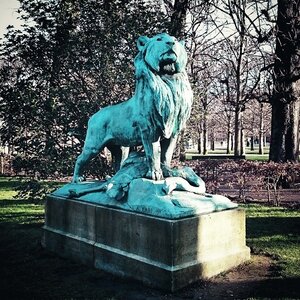 Boîte à Polas - 2015, 2015_012