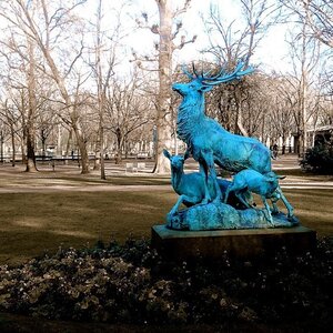 Boîte à Polas - 2015, 2015_013