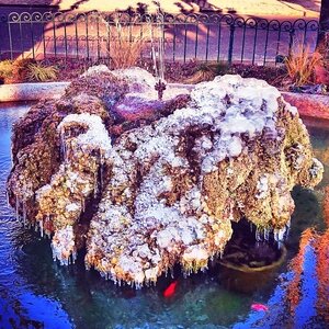 Boîte à Polas - 2015, 2015_024