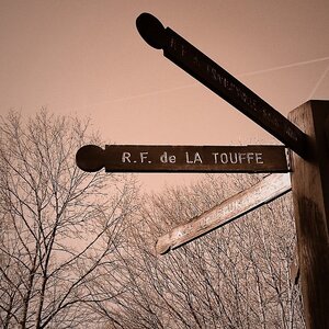 Boîte à Polas - 2015, 2015_029