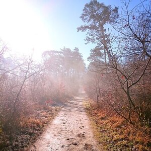 Boîte à Polas - 2015, 2015_037