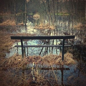 Boîte à Polas - 2015, 2015_041