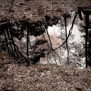 Boîte à Polas - 2015, 2015_042