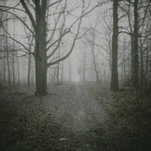 Boîte à Polas - 2015, 2015_045