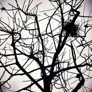 Boîte à Polas - 2015, 2015_056