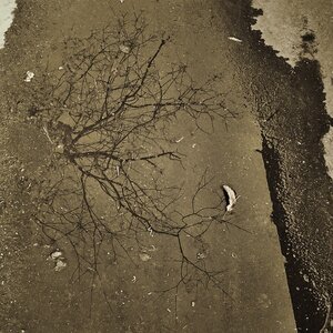 Boîte à Polas - 2015, 2015_057