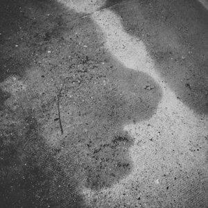 Boîte à Polas - 2015, 2015_062