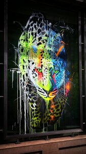 Boîte à Polas - 2015, 2015_074