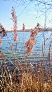 Boîte à Polas - 2015, 2015_093