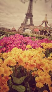 Boîte à Polas - 2015, 2015_095