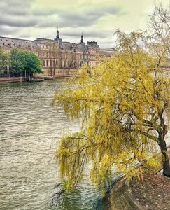 Boîte à Polas - 2015, 2015_098