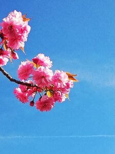 Boîte à Polas - 2015, 2015_102