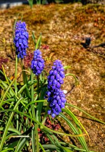 Boîte à Polas - 2015, 2015_103