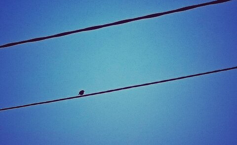 Boîte à Polas - 2015, 2015_109