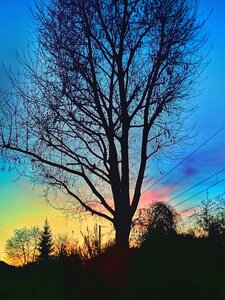 Boîte à Polas - 2015, 2015_110