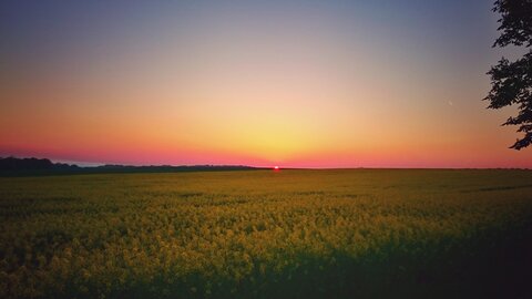 Boîte à Polas - 2015, 2015_113