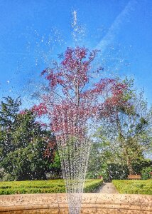 Boîte à Polas - 2015, 2015_115