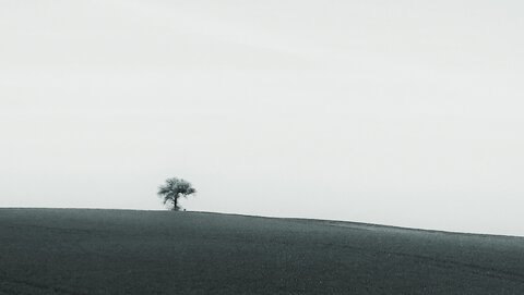 Boîte à Polas - 2015, 2015_116