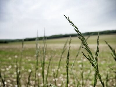 Boîte à Polas - 2015, 2015_121