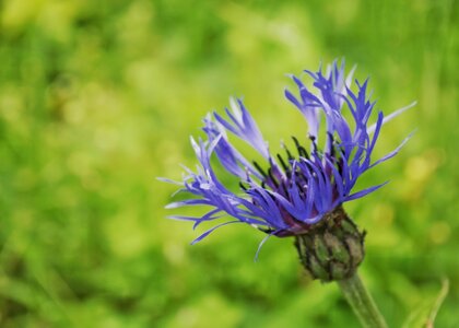 Boîte à Polas - 2015, 2015_122