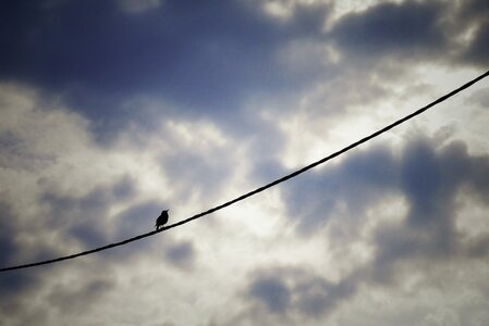 Boîte à Polas - 2015, 2015_124