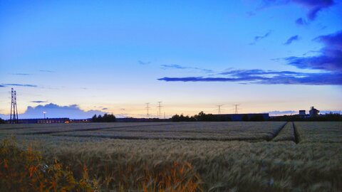 Boîte à Polas - 2015, 2015_130