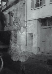 Boîte à Polas - 2015, 2015_131