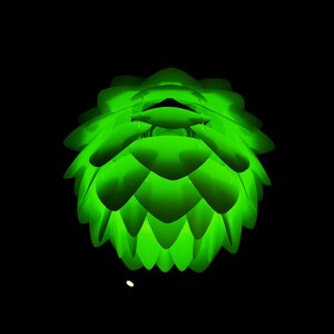 Boîte à Polas - 2015, 2015_132