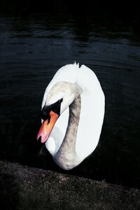 Boîte à Polas - 2015, 2015_133