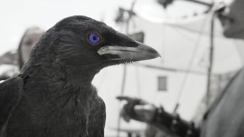 Boîte à Polas - 2015, 2015_134