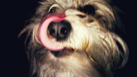 Boîte à Polas - 2015, 2015_139