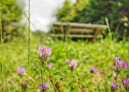 Boîte à Polas - 2015, 2015_143