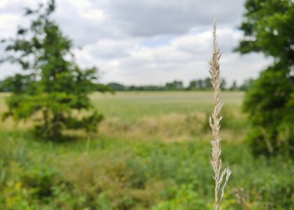 Boîte à Polas - 2015, 2015_144