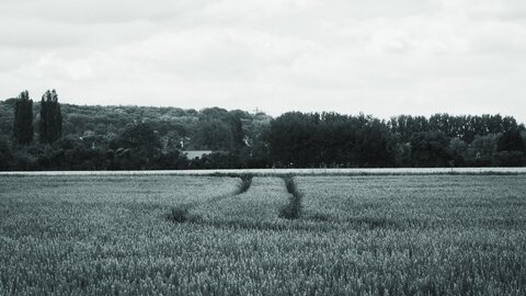 Boîte à Polas - 2015, 2015_145